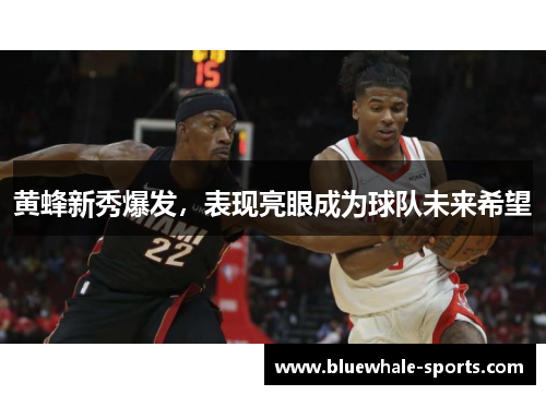 黄蜂新秀爆发，表现亮眼成为球队未来希望